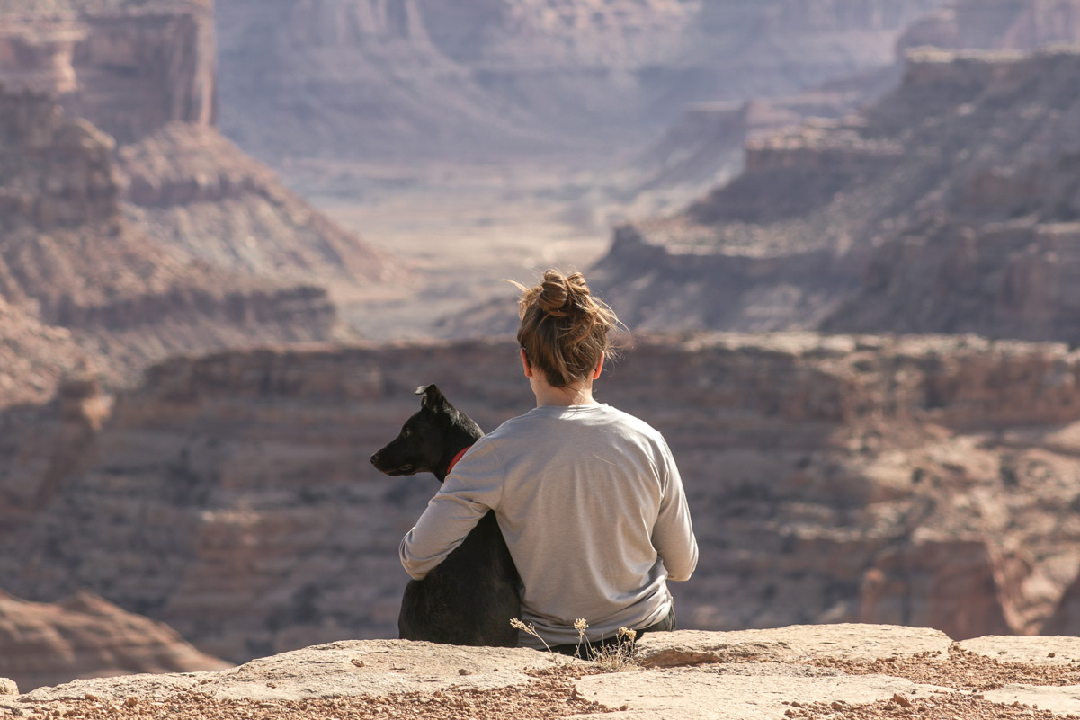 San Diego Dog Training